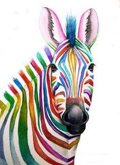 a close up of a colorful zebra's face