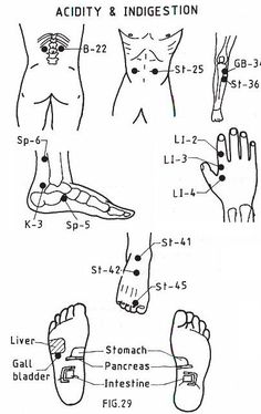 Digestion: Acupressure/Reflexology Pointswww.SELLaBIZ.gr ΠΩΛΗΣΕΙΣ ΕΠΙΧΕΙΡΗΣΕΩΝ ΔΩΡΕΑΝ ΑΓΓΕΛΙΕΣ ΠΩΛΗΣΗΣ ΕΠΙΧΕΙΡΗΣΗΣ BUSINESS FOR SALE FREE OF CHARGE PUBLICATION Punkty Spustowe, Reflexology Points, Shiatsu Massage Acupressure, Acupuncture Benefits, Induce Labor, Reflexology Chart, Acupressure Massage, Reflexology Massage, Shiatsu Massage