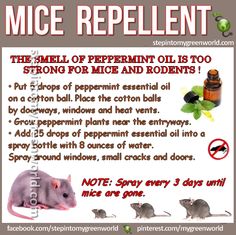 an advertisement for mice repellent with information about the product and its benefits on it