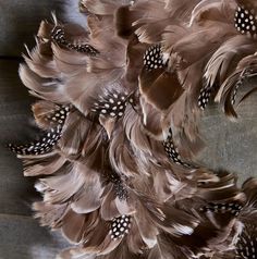 the feathers are brown and white in color