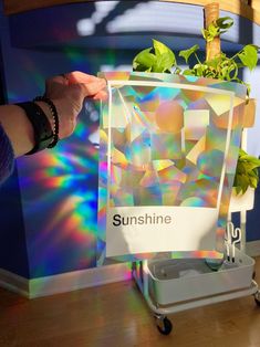 a person is holding up a box with some plants in it and the sun shining through