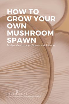 the cover of how to grow your own mushroom spawn with text overlaying it