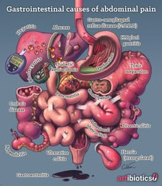 an image of a diagram of the human body's organ systems and their functions