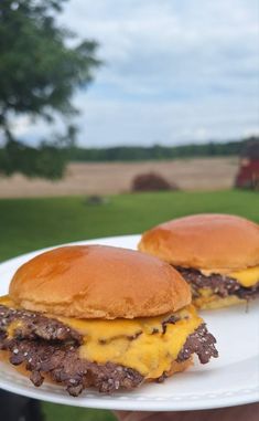 two cheeseburgers are on a white plate in front of a green grassy field