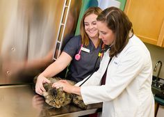 two women in white coats petting a cat on top of a metal countertop