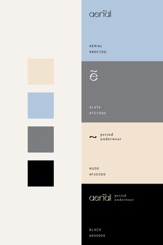 the color scheme for an interior design project in black, white, and blue tones