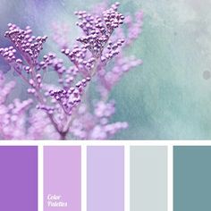 the color scheme is lavender and blue