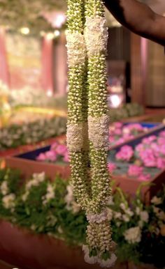 flowers are hanging from the ceiling in an indoor garden area with pink and white flowers