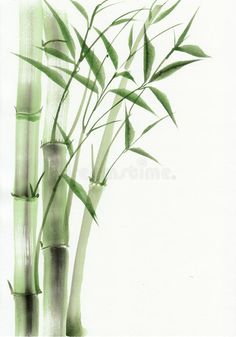 a painting of bamboo leaves on a white background