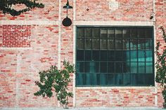 a red brick building with an open window and green plants growing out of the windows