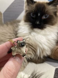 a cat that is laying down next to a person holding a tiny animal in it's hand