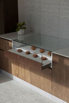 a counter with some cookies on it and a potted plant in the corner next to it