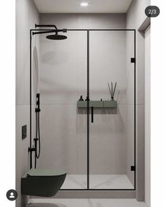 an image of a bathroom setting with shower and toilet