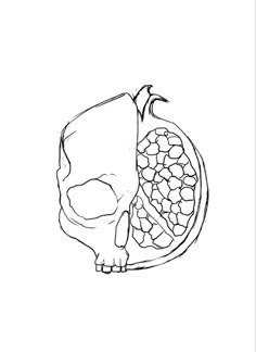 a black and white drawing of a pomegranate with the top half cut off