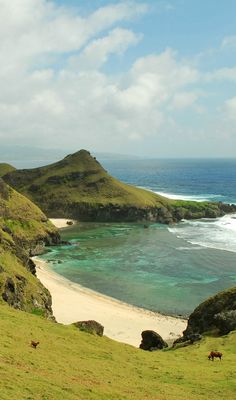 two horses grazing on the grass near an ocean and rocky cliff face with white sand