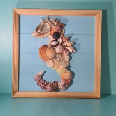 there is a frame with seashells in it on the shelf next to a blue wall