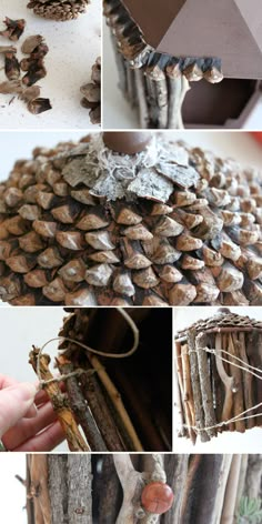 the process of making a pine cone birdhouse