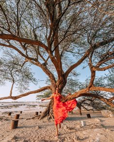 a woman in a red dress is standing under a tree on the beach with her arms stretched out