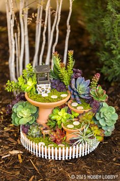 a potted planter filled with succulents and plants in front of trees