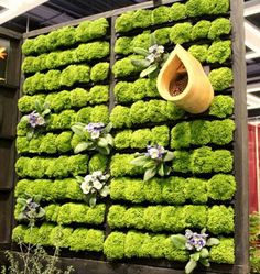 a green wall with flowers and plants growing on it