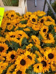 sunflowers for sale at an outdoor market