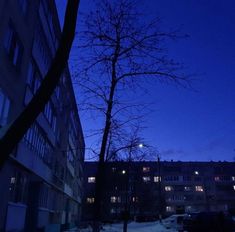 an empty street at night with snow on the ground and bare trees in front of buildings