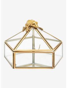 a glass box with a golden animal on it's top and the bottom section is open