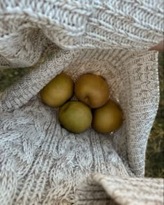 three apples are sitting in the middle of a knitted blanket, on top of grass