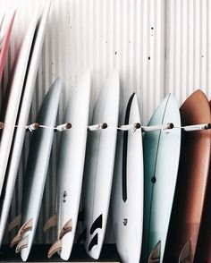 there are many surfboards lined up against the wall