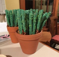 there are many small cactus plants in the pot on the table, one is green and the other is brown