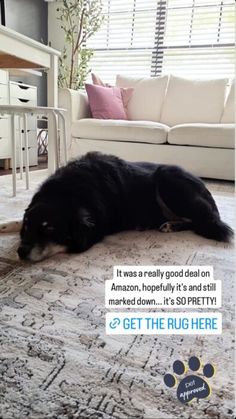 a large black dog laying on top of a rug next to a white couch and table