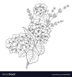 a drawing of flowers on a white background with the words, shutterstock com 108838