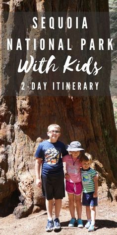 two children standing in front of a large tree with the words sequia national park with kids 2 day itinerary