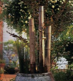 an old barrel with some plants growing out of it