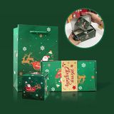 a green christmas gift bag with santa's sleigh on it