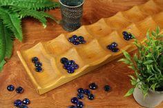 a wooden tray with blue glass beads on it next to a potted plant