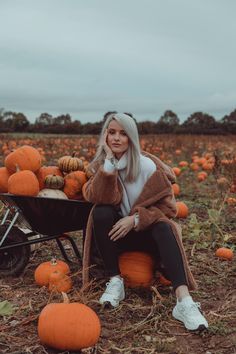 a woman sitting on a wheelbarrow in a pumpkin patch with lots of pumpkins