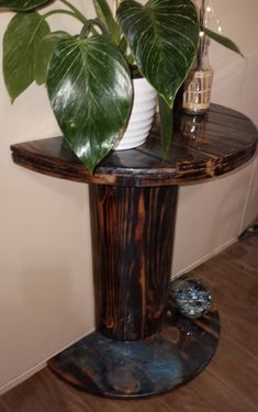 a potted plant sitting on top of a wooden table