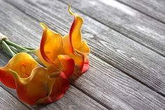 two yellow and red flowers sitting on top of a wooden table next to each other