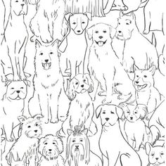 a large group of dogs are shown in black and white, as well as an outline drawing