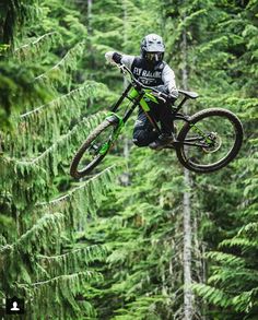 a person on a dirt bike in the air over some trees and pine needles,