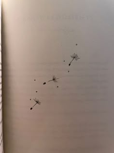 an open book with dandelions drawn on it