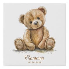 a brown teddy bear sitting on top of a white floor next to a sign that says cannon