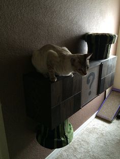 a cat sitting on top of a wooden cabinet