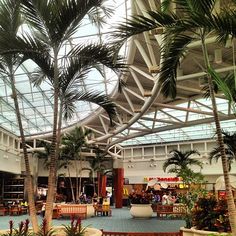 palm trees and benches are in the middle of an indoor shopping mall with glass ceiling