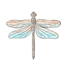 a drawing of a dragonfly on a white background