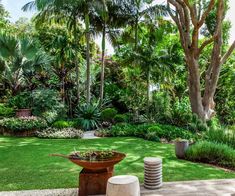 a garden with lots of trees and plants