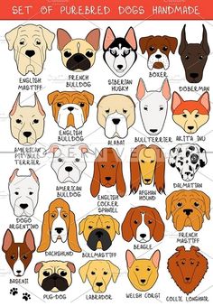 set of colored dogs and their names