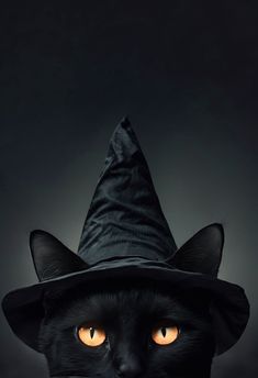 a black cat wearing a witches hat with glowing eyes