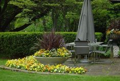 a garden with flowers and an umbrella in the middle